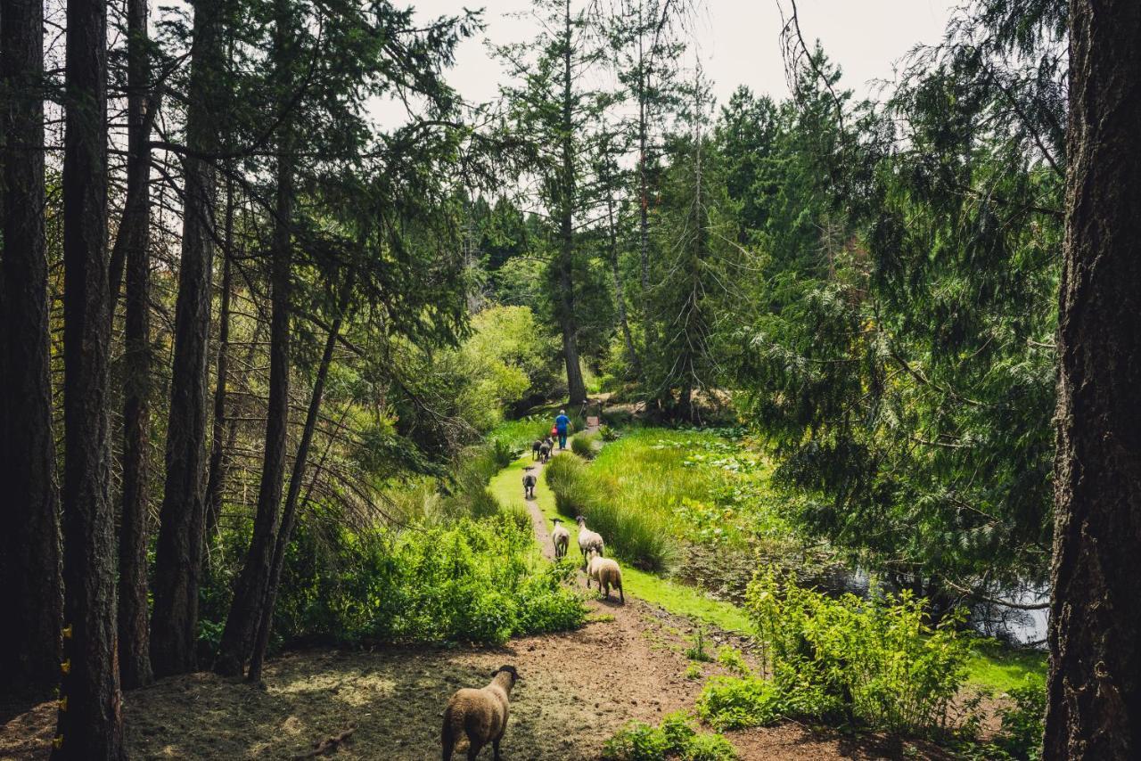 Misty Meadows B&B Langford Bagian luar foto