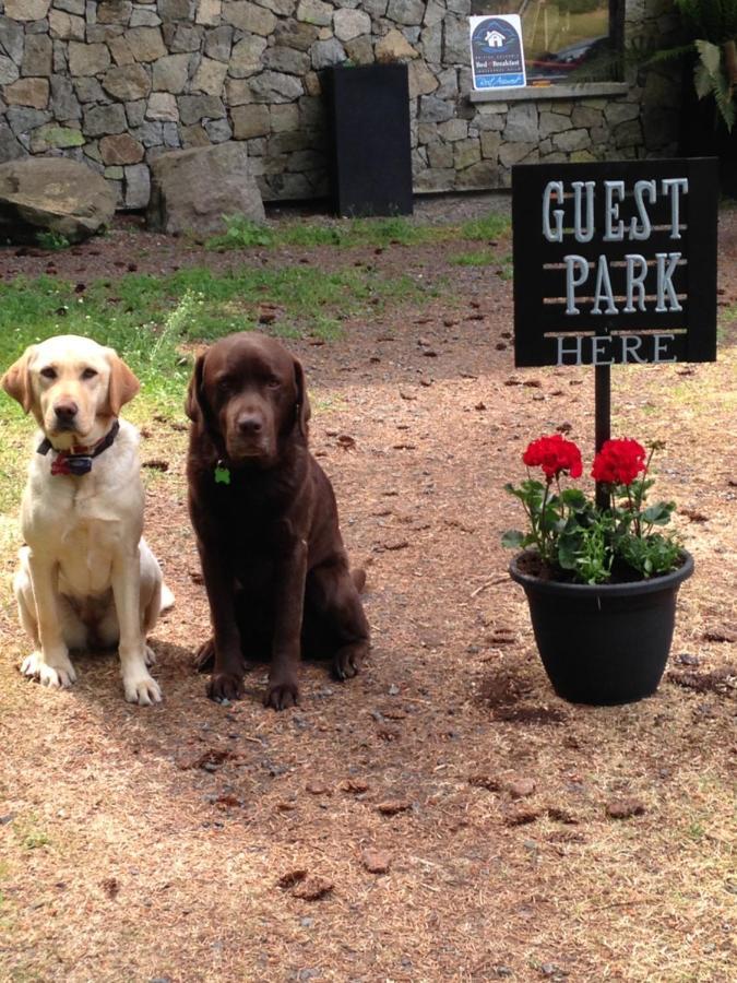 Misty Meadows B&B Langford Bagian luar foto