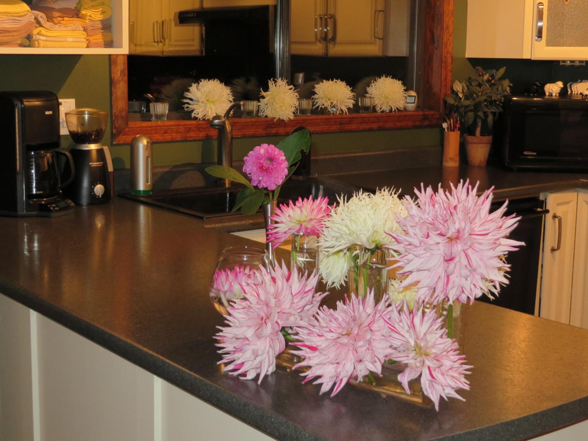 Misty Meadows B&B Langford Bagian luar foto
