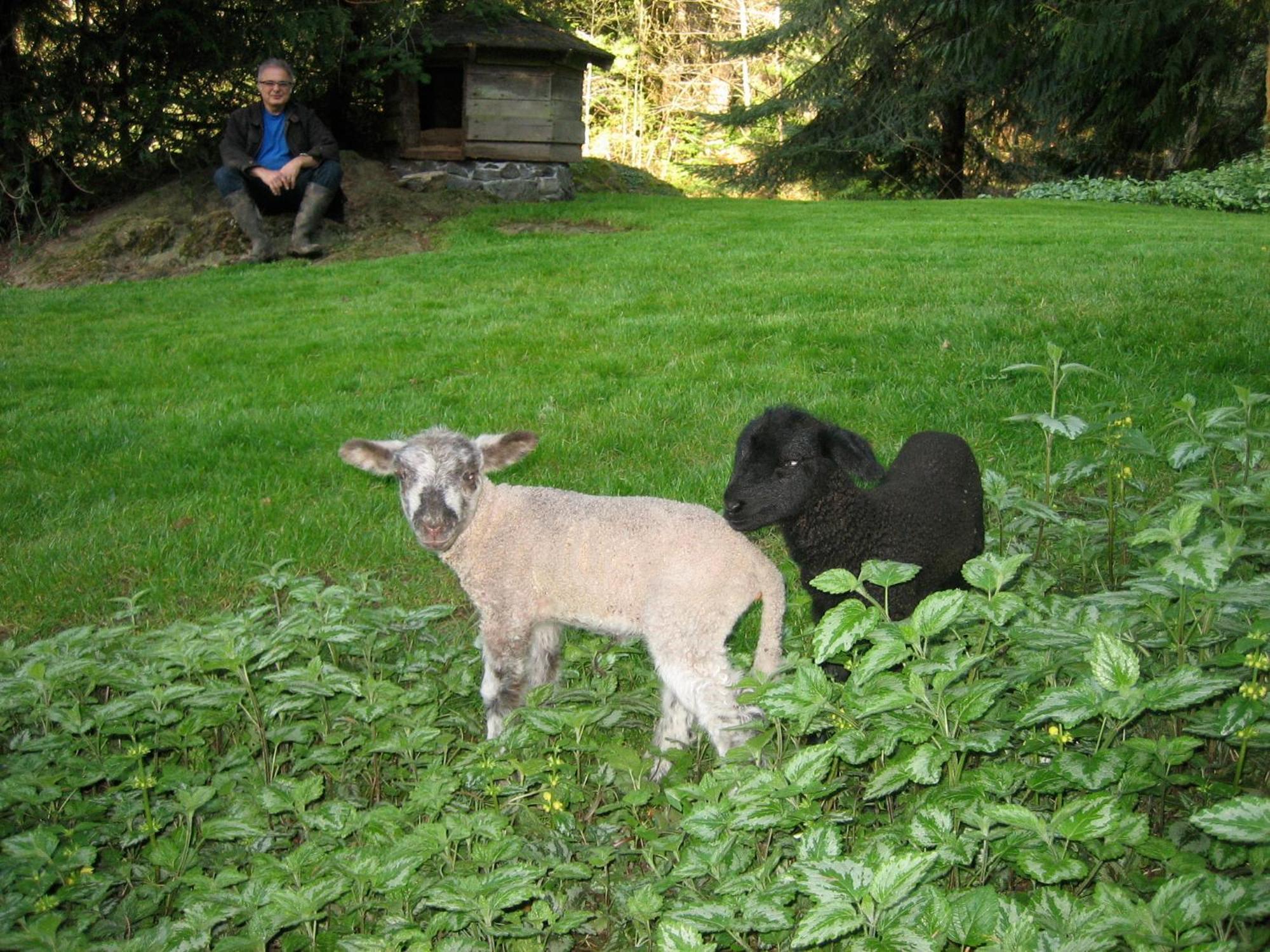 Misty Meadows B&B Langford Bagian luar foto