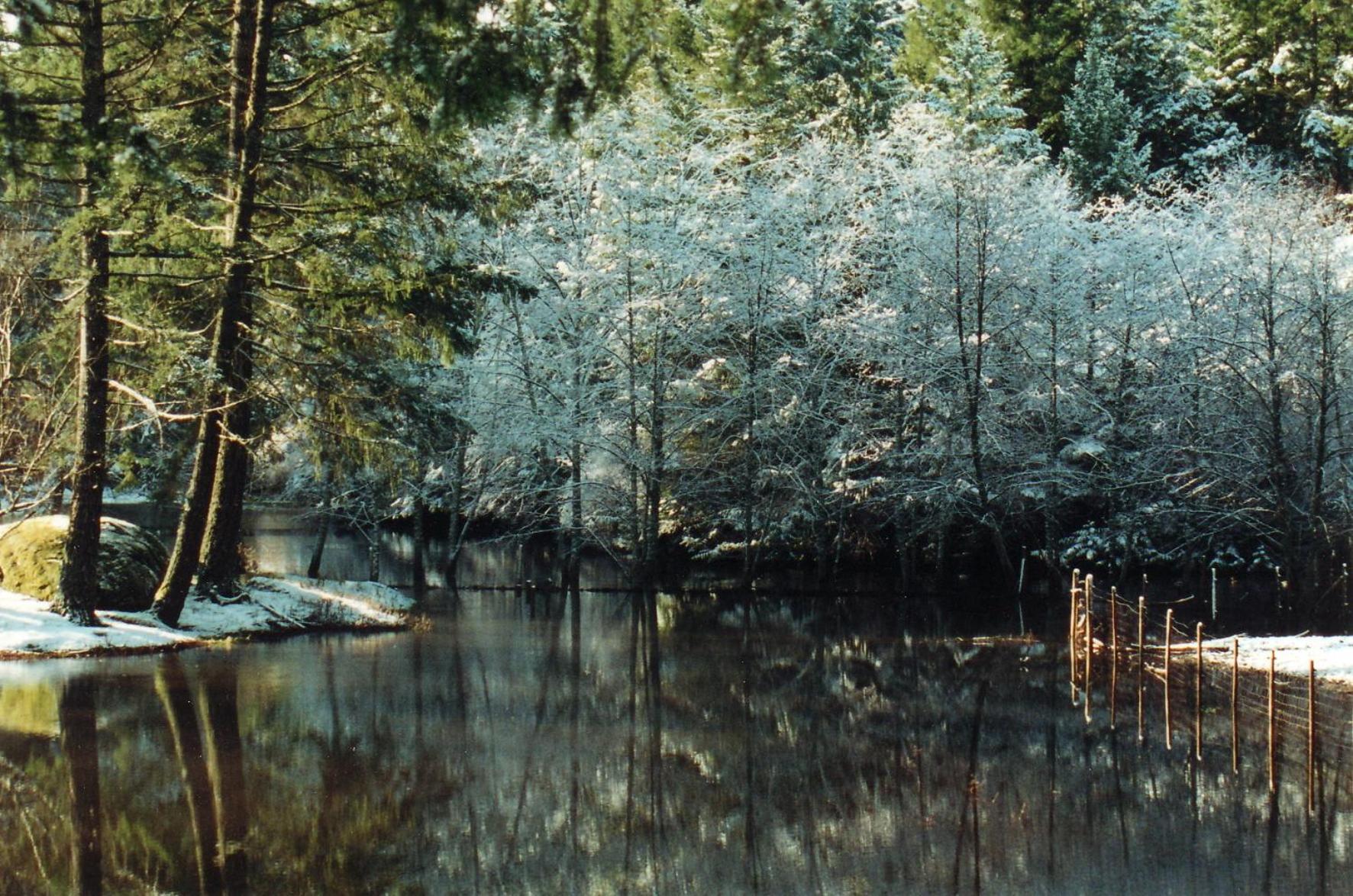 Misty Meadows B&B Langford Bagian luar foto
