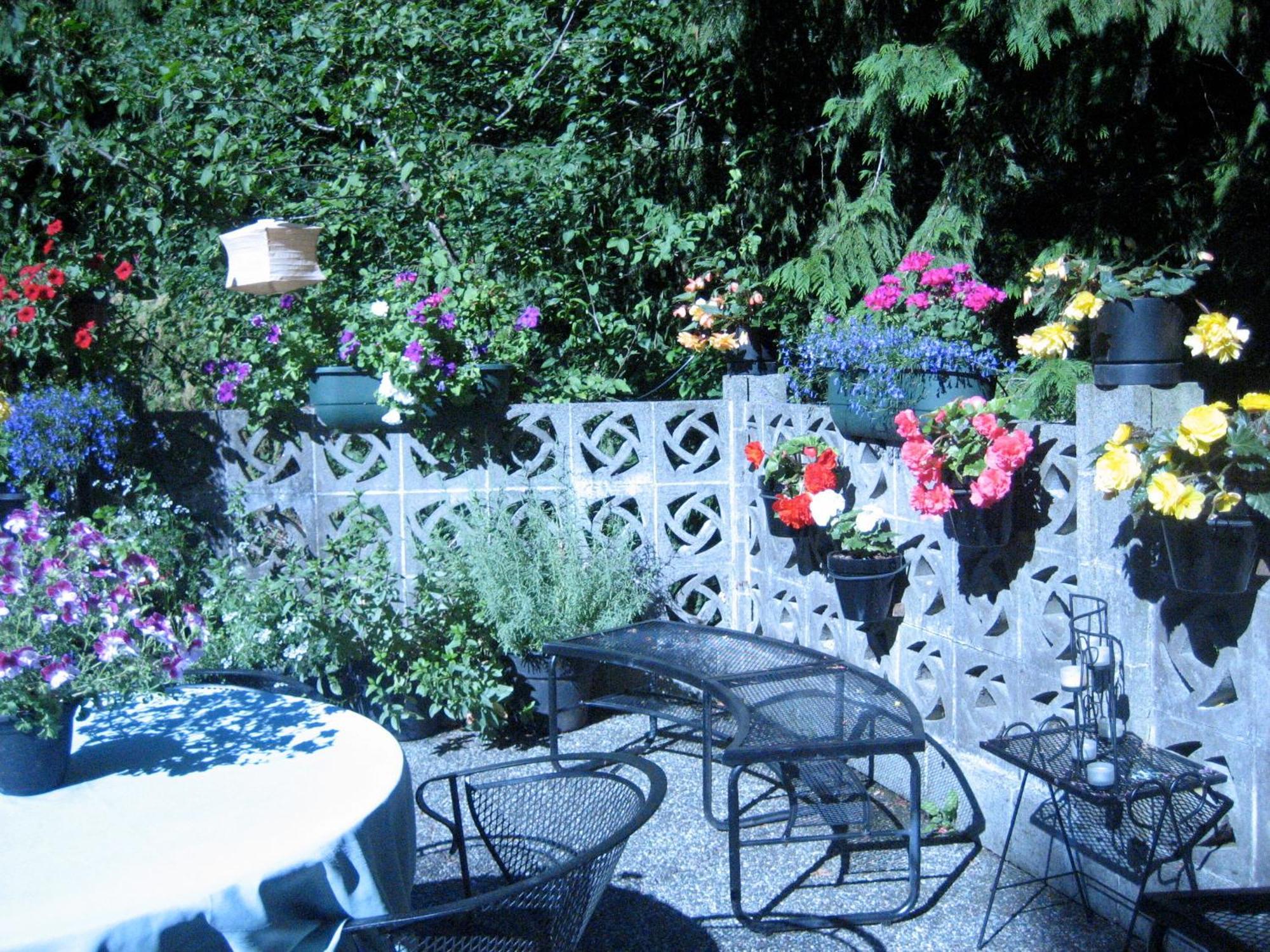 Misty Meadows B&B Langford Bagian luar foto