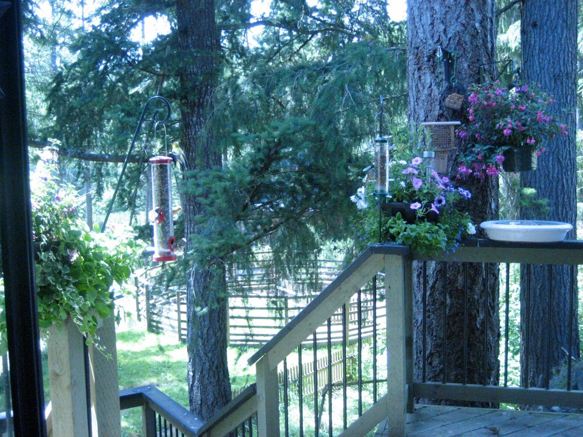 Misty Meadows B&B Langford Bagian luar foto
