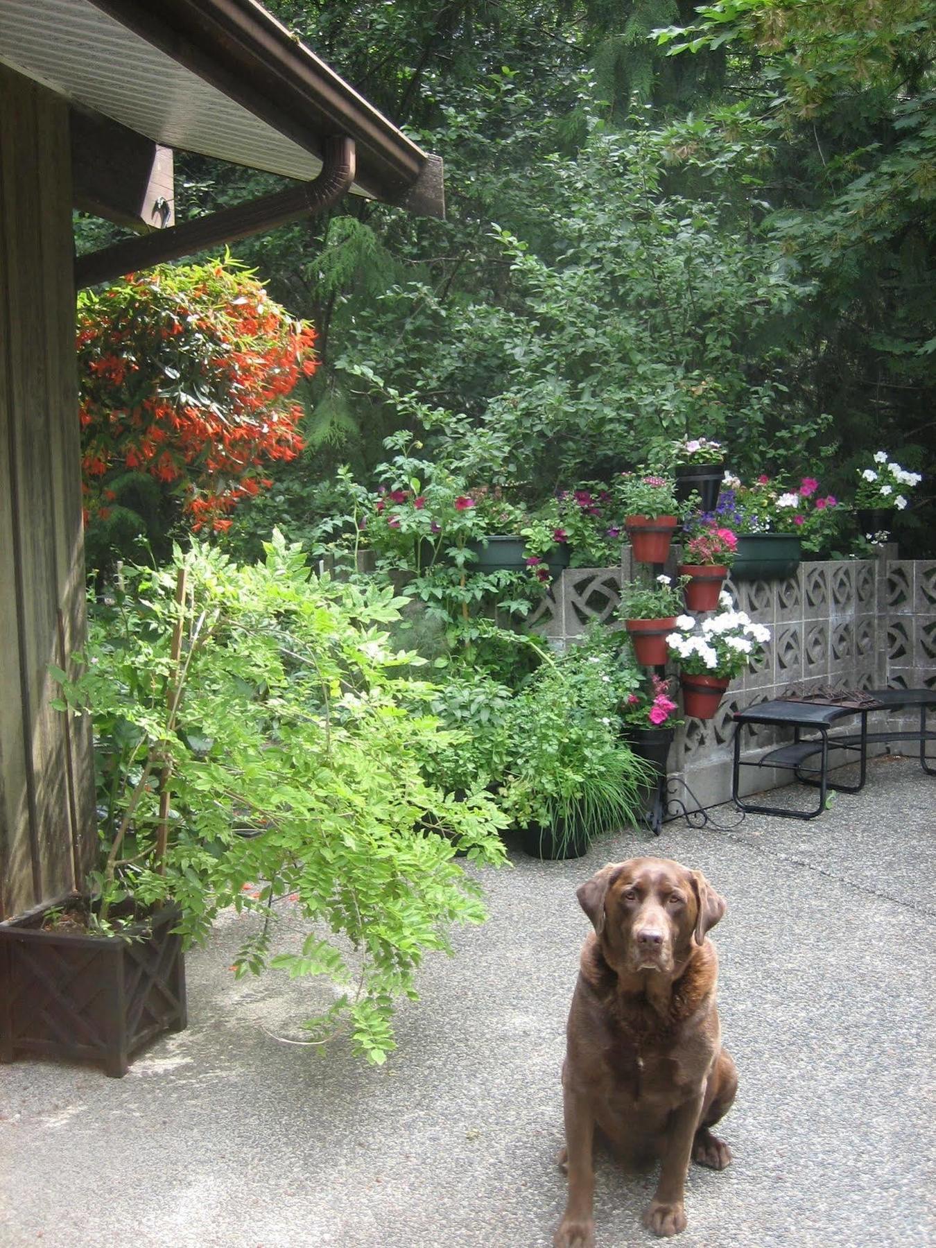 Misty Meadows B&B Langford Bagian luar foto
