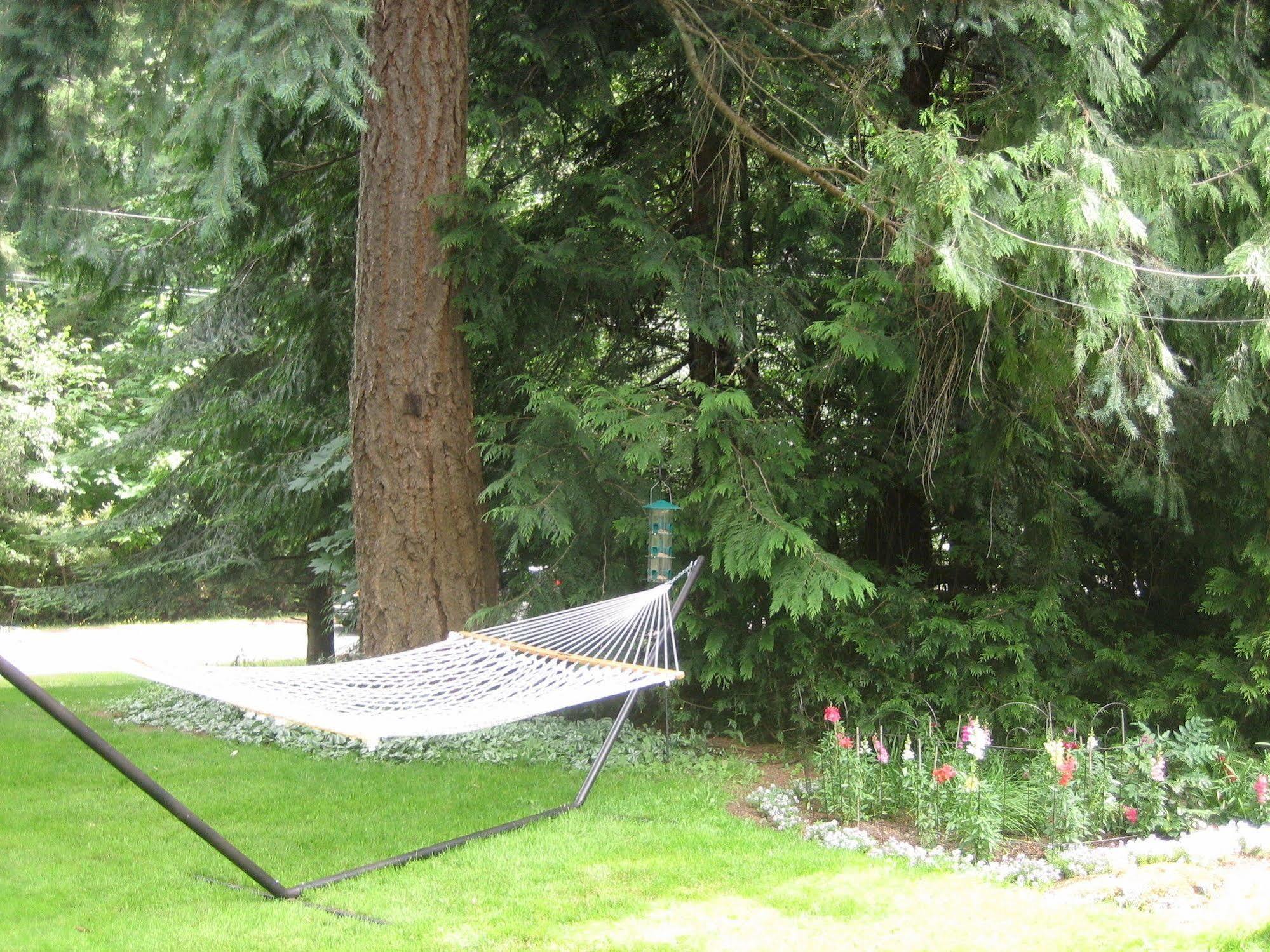 Misty Meadows B&B Langford Bagian luar foto