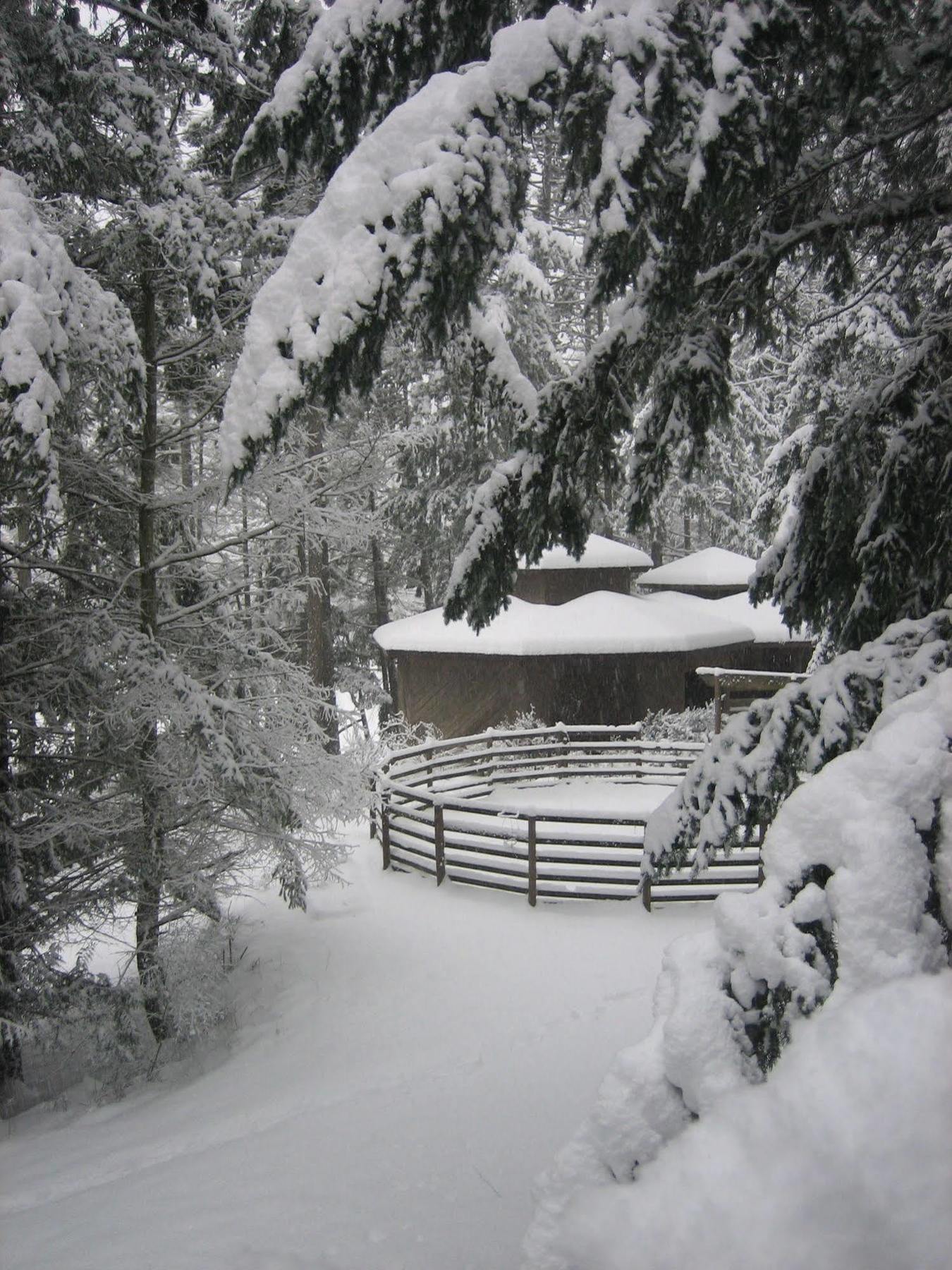 Misty Meadows B&B Langford Bagian luar foto