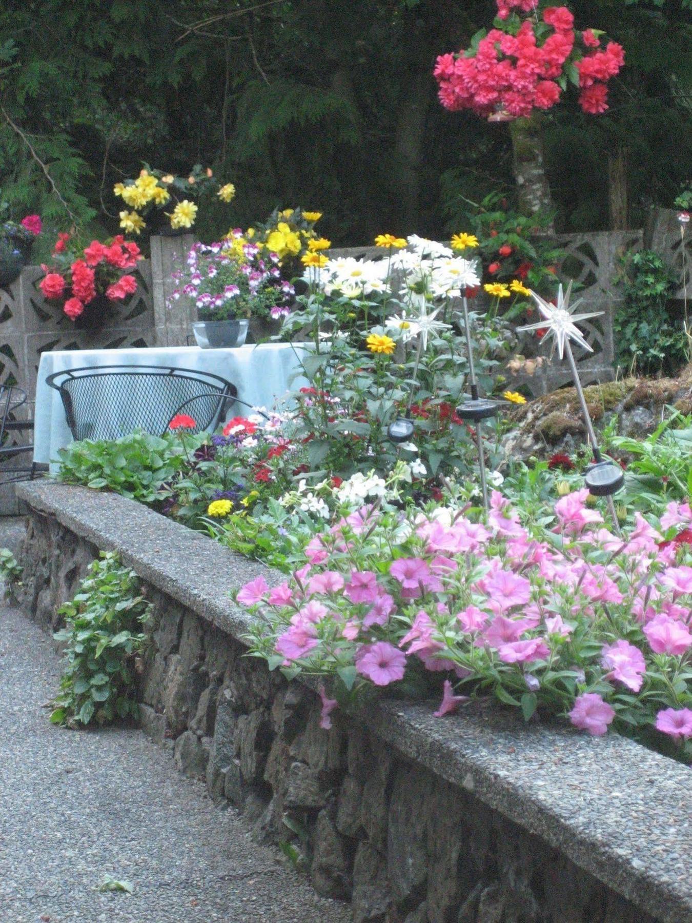 Misty Meadows B&B Langford Bagian luar foto