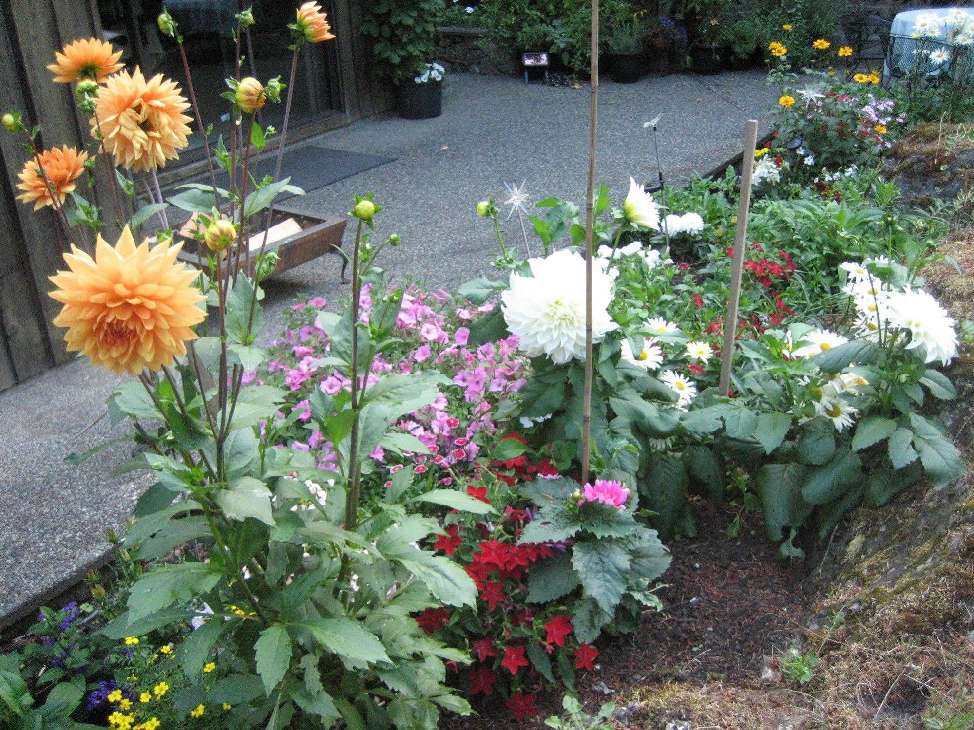Misty Meadows B&B Langford Bagian luar foto
